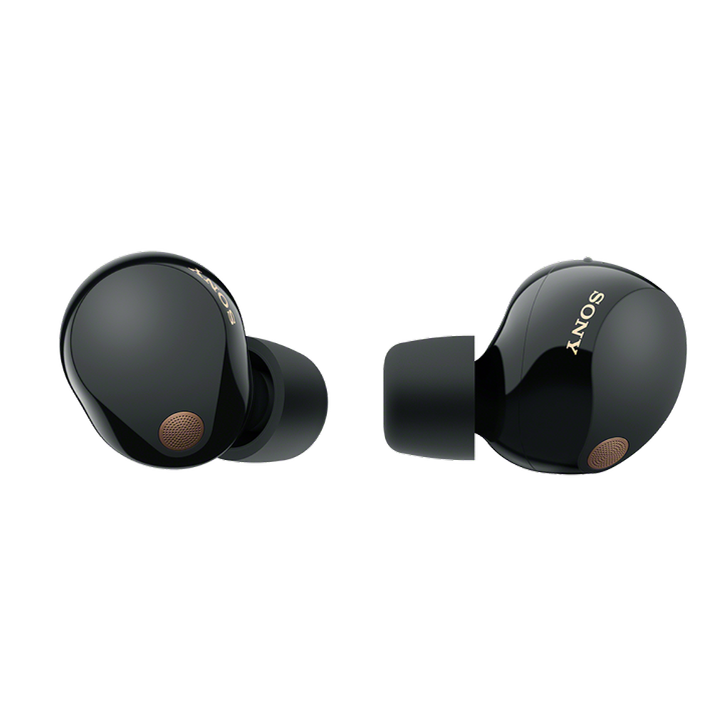 Sony WF-1000XM5 earbuds in black with charging case